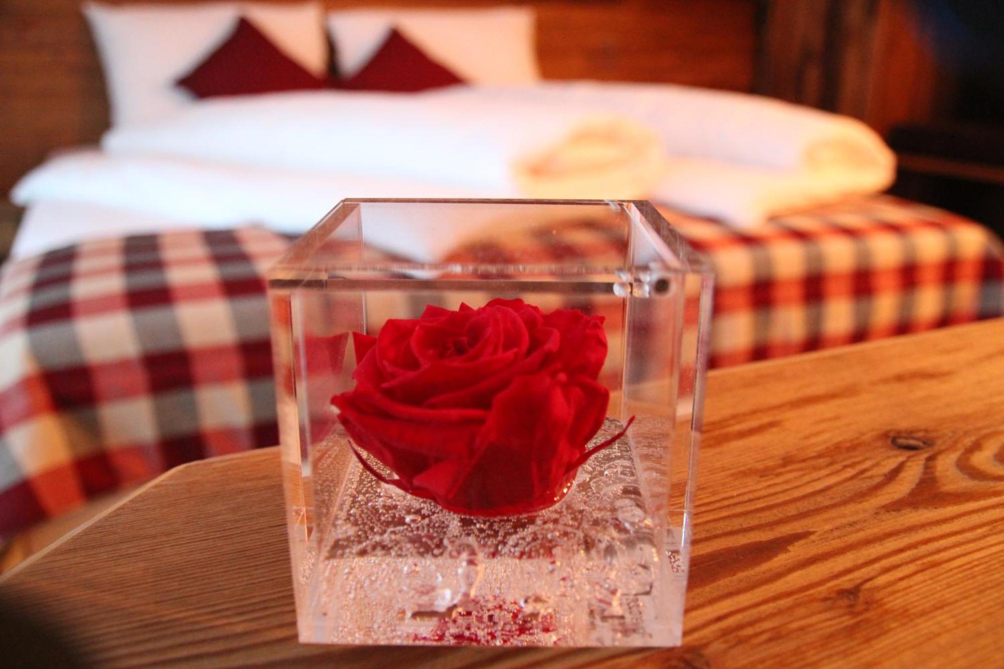 Green Rose Ливиньо Экстерьер фото